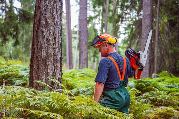 Fototapeta lumberjack at work