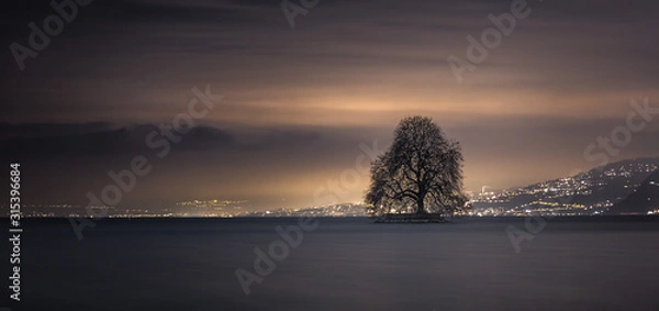 Fototapeta Lone tree on the lake, night landscape, night lights and cloudy sky.