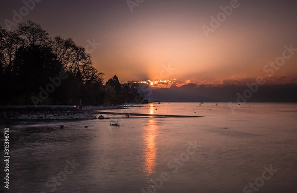 Fototapeta Pink sunset, behind the clouds, tree and lake. Calm and relaxing landscape