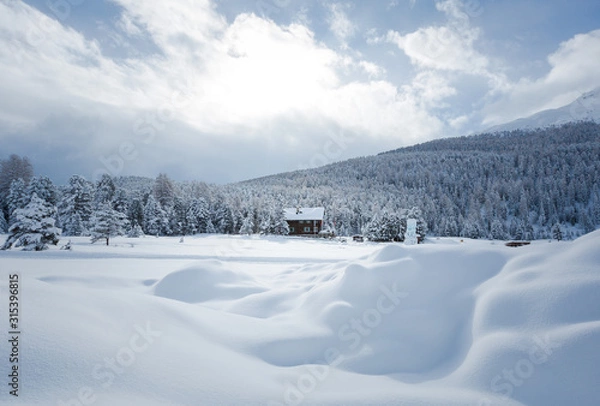 Fototapeta Chalet in a snowy winter landscape in the mountains. Dense forest, lots of trees