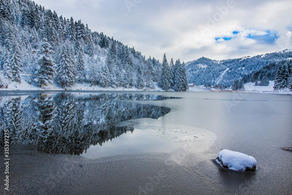 Fototapeta Reflection of a winter landscape in a frozen lake, trees and stone, blue