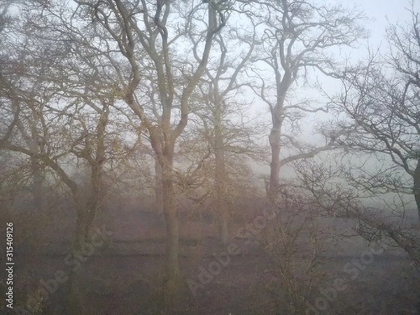 Obraz A view from a train window