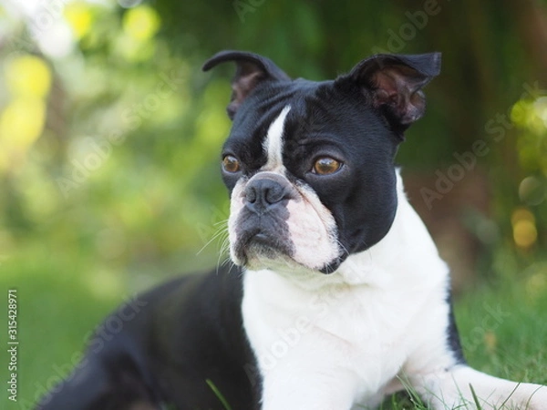 Fototapeta OLYMPUS DIGITAL CAMERA