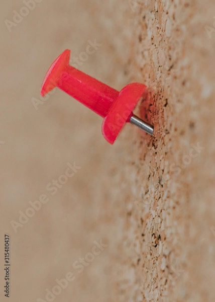 Obraz red push pin on a cork board