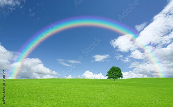 Obraz Green field with lone tree and rainbow