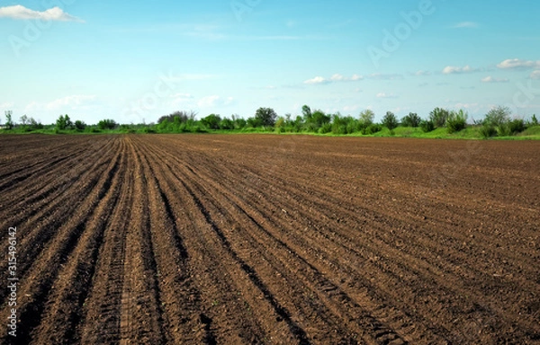 Fototapeta Preparing field for planting. Plowed soil in spring time with two tubes and blue sky.