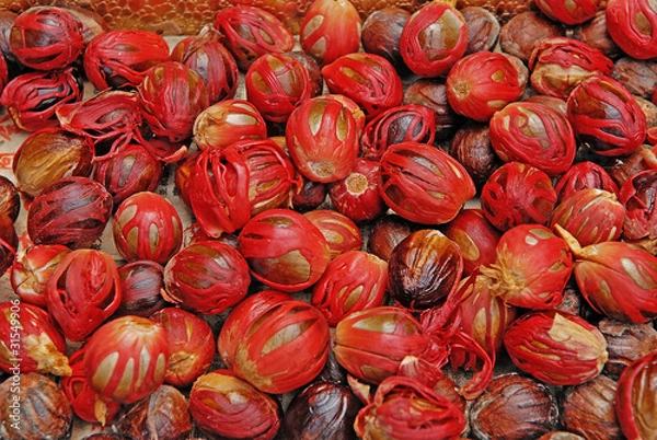Obraz Freshly Harvested Nutmeg Fruit