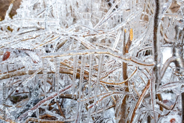 Fototapeta つらら　イメージ素材