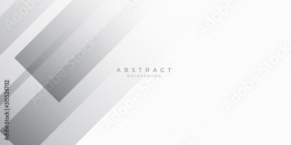 Fototapeta White Grey Silver Box Rectangle Abstract Background Vector Presentation Design