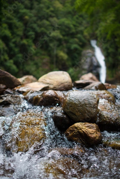Obraz stream in the forest