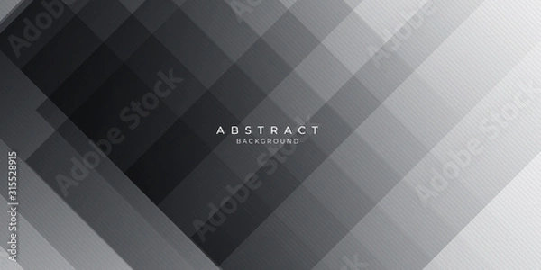 Fototapeta White Grey Silver Box Rectangle Abstract Background Vector Presentation Design