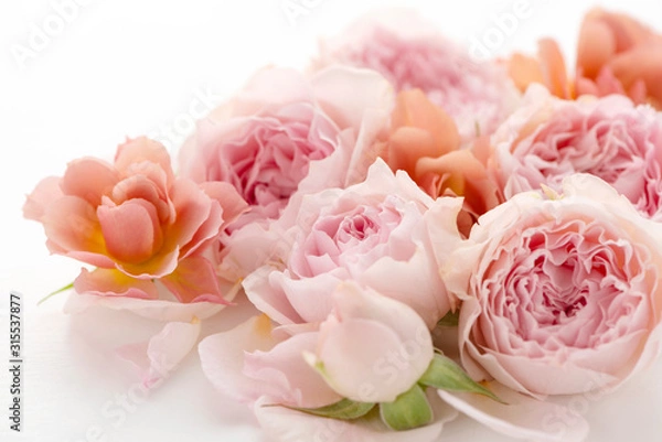 Obraz バラのブーケ