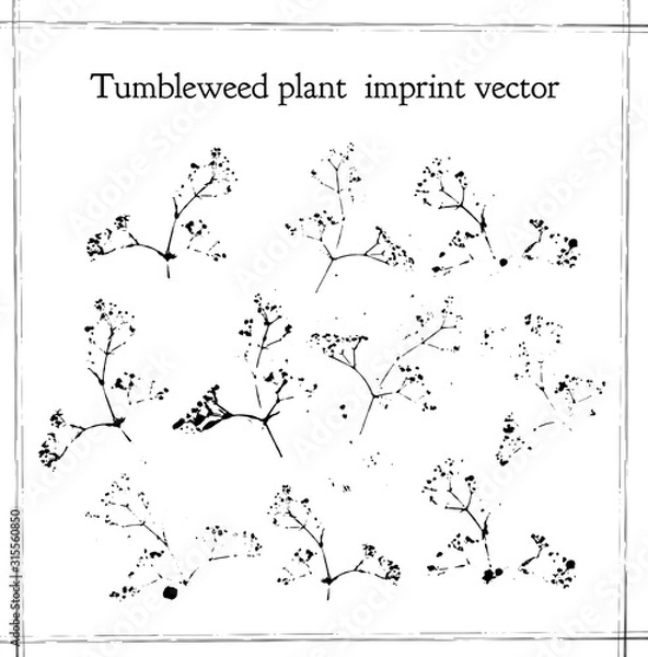Fototapeta vector imprint of the branch flowers