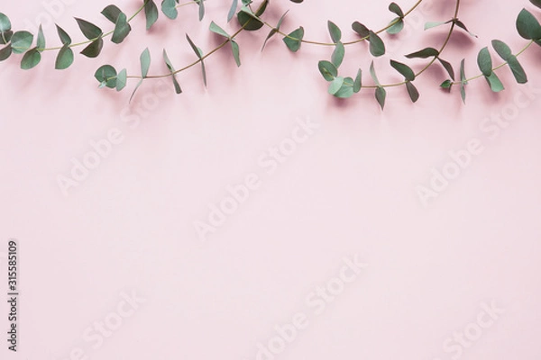 Fototapeta Border frame made eucalyptus branches on pink background.Floral background