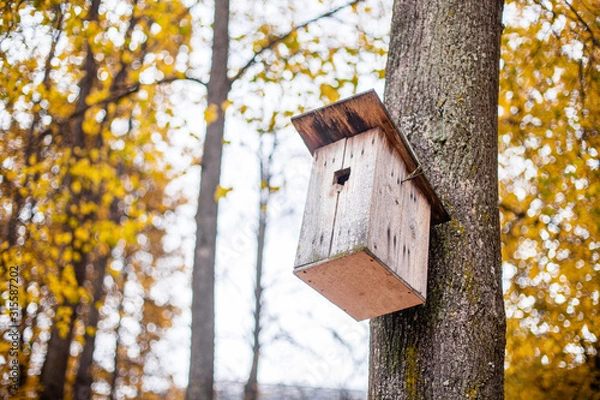 Fototapeta Birdhouse on the tree. Shelter for birds. A house on a tree.