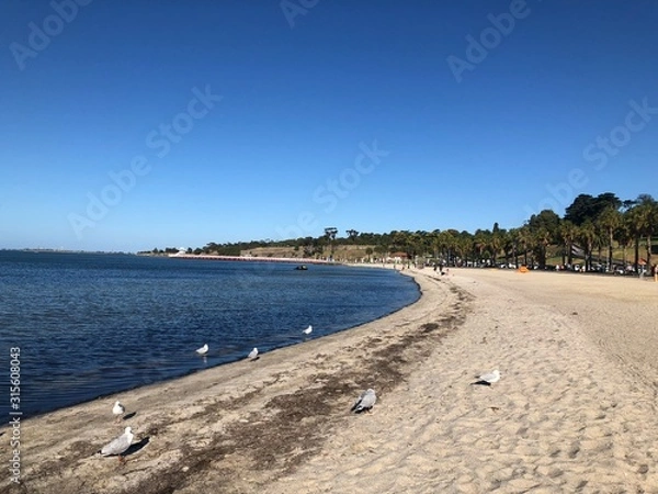 Fototapeta Sandy beach 