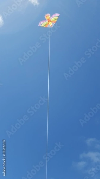Obraz Kite in the sky 3