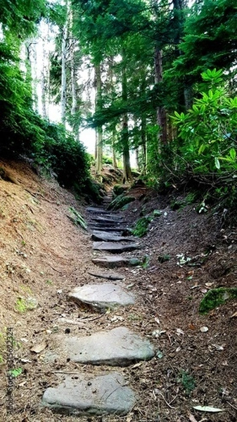 Fototapeta Lonely steps