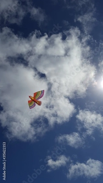 Obraz Kite in the sky 2