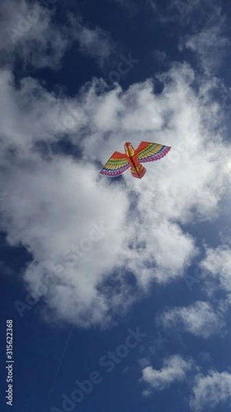 Obraz Kite in the sky