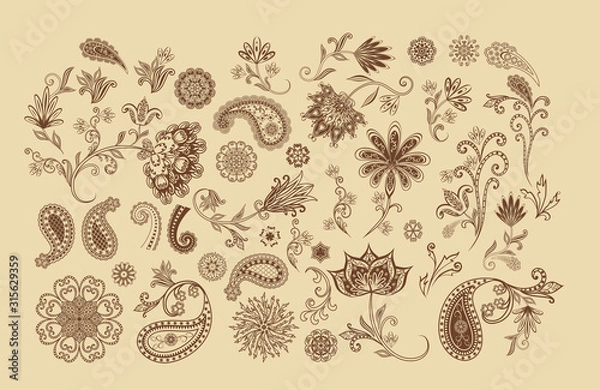 Obraz Vector decorative design Paisley, floral elements.