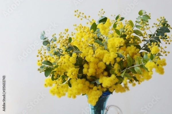 Obraz ミモザの花