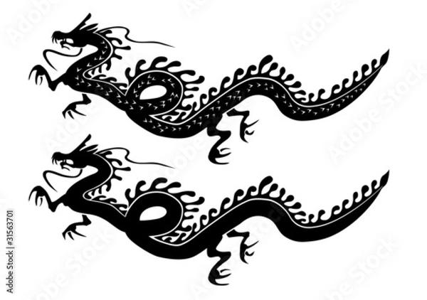Obraz Dragon