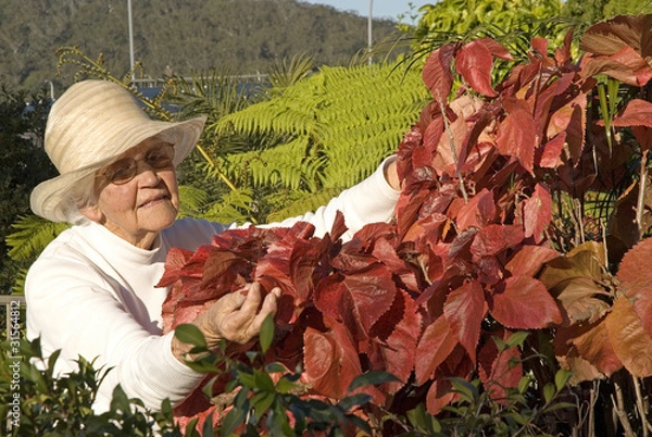 Obraz Elderly lady doing her gardening