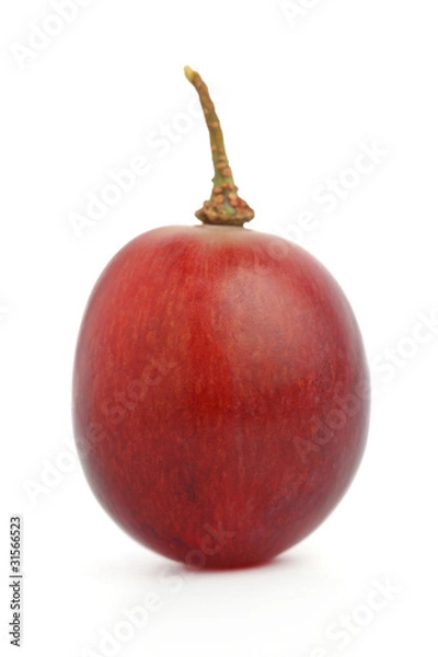 Fototapeta Red Grape