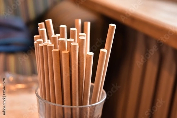 Fototapeta Eco friendly Reusable Straws in the cardboard cup with selective focus and blurred ba. Paper cocktail tubes. Kraft paper straw for drinking coffee or tea. Disposable cocktail tube. 