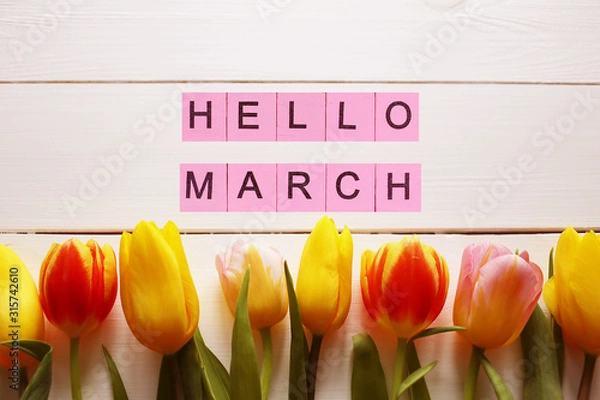 Obraz Hello March word, on a background with tulips. Spring concept