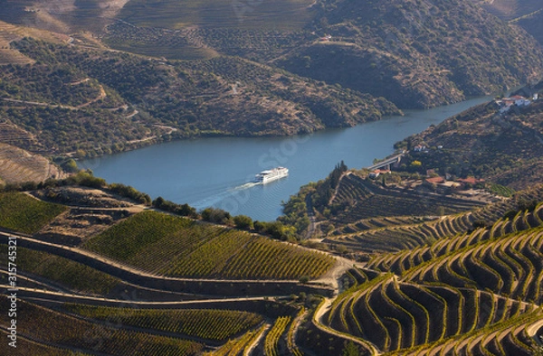 Obraz Cruise ship in Douro river and Alto Douro vineyards and landscape - UNESCO World Heritage