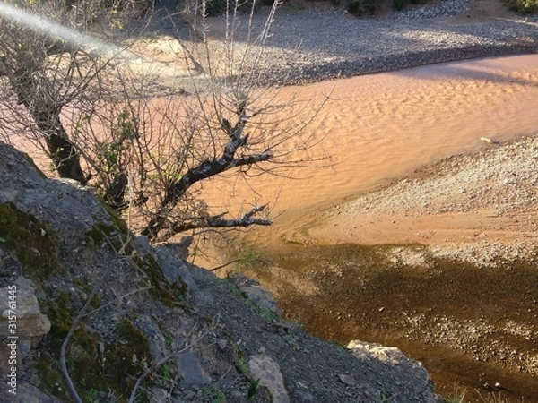 Fototapeta river in forest