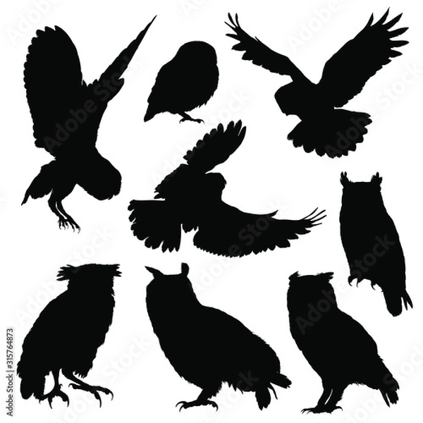 Fototapeta Owl silhouette set. Vector illustration