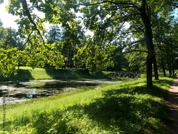 Obraz summer landscape with lake