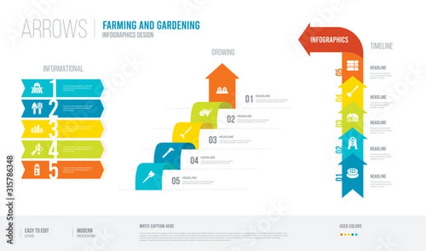 Fototapeta arrows style infogaphics design from farming and gardening concept. infographic vector illustration