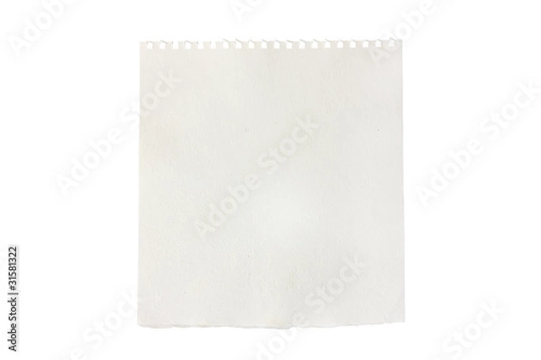 Fototapeta blank piece of torn notebook or sketchbook paper