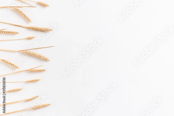 Fototapeta Border frame made of wheat spikelets