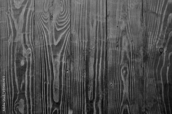Obraz real wood texture