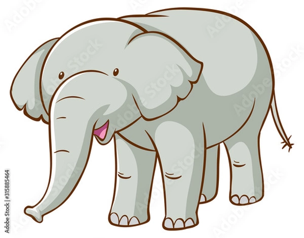 Fototapeta Gray elephant on white background
