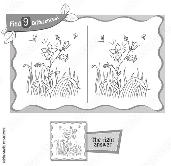 Obraz differences game blooming flower