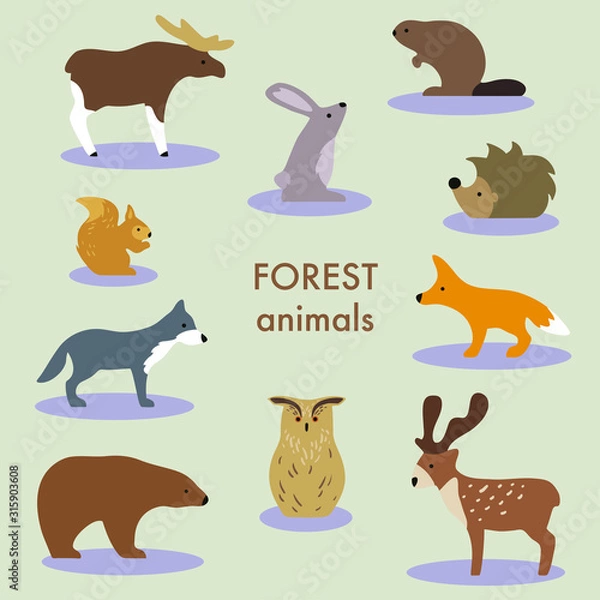 Fototapeta Collection of forest animals. Set of cute cartoon isolated characters and icons. Wolf, fox, moose, bear. Vector illustration in flat style.