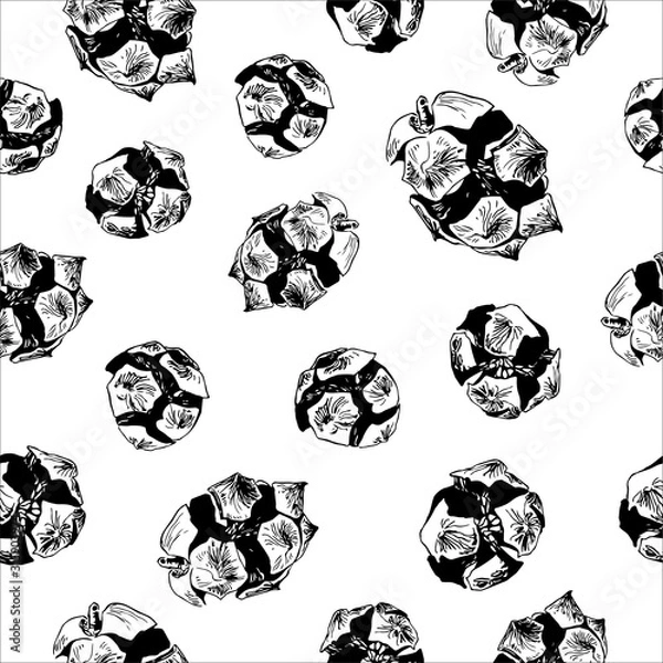 Fototapeta Seamless pattern with hand drawn vector illustration of cypress cones. Design elements Forest Autumn Winter collection