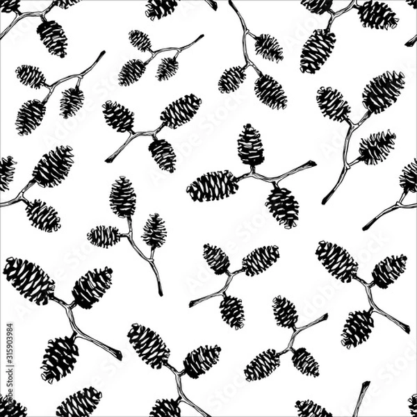 Fototapeta Seamless pattern with hand drawn vector illustration of alder cones. Design elements Forest Autumn, Winter collection