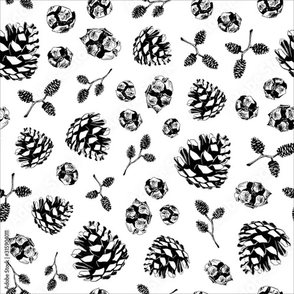 Fototapeta Seamless pattern with hand drawn vector illustration of pine, alder and cypress cones. Forest Autumn Winter collection