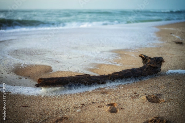 Obraz Vieille Branche