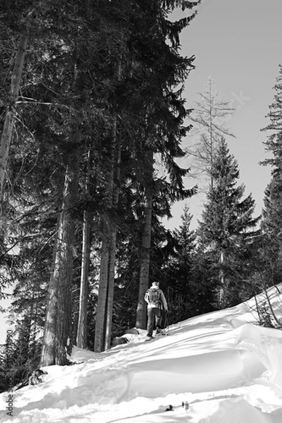 Fototapeta Alps scenery in black and white