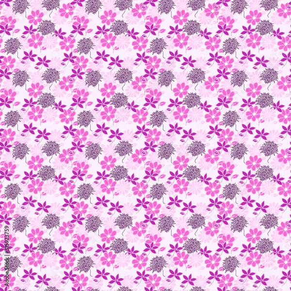 Obraz Floral pattern Illustrations