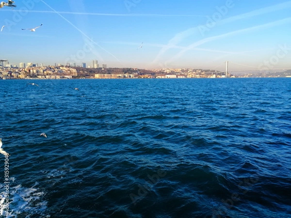 Obraz sailing ship in the sea