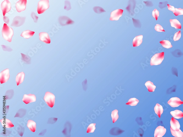 Obraz Spring blossom isolated petals flying